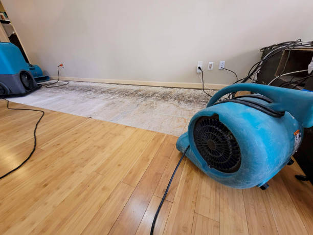 Professional Flood Damage Cleanup technician working in Great Falls, VA